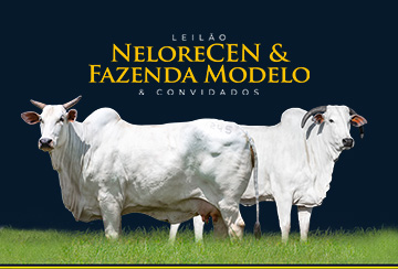 LEILÃO NELORE CEN & FAZENDA MODELO & CONVIDADOS